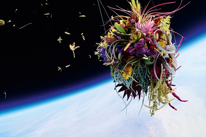 Azuma sent plants into space for his In Bloom project