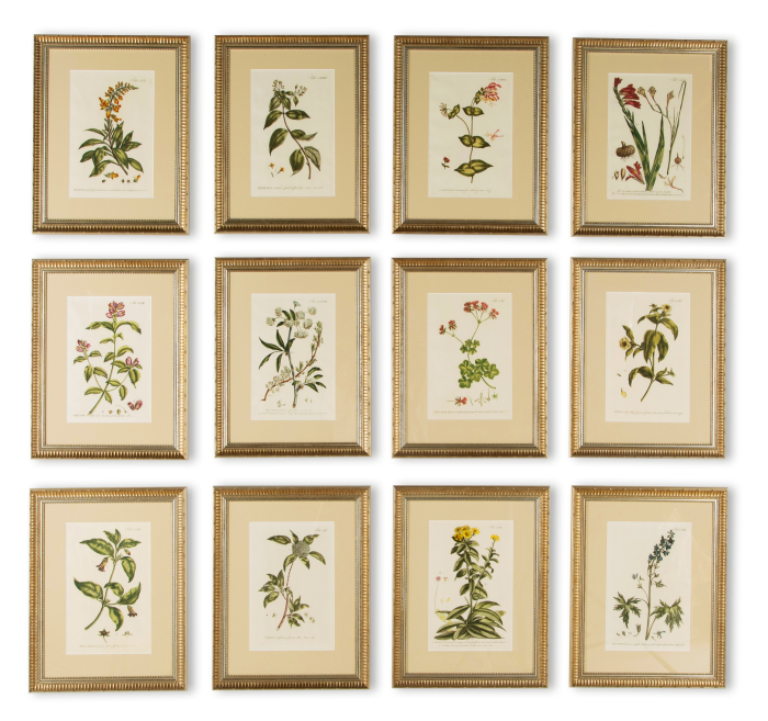 Botanical engravings by Philip Miller, £5,750, from Lorfords Antiques via Christopher Hall Antiques