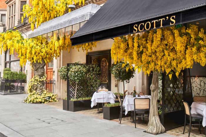 The Perrier-Jouët Terrace at Scott’s serves seasonal seafood, meat and game under a canopy of golden blossom