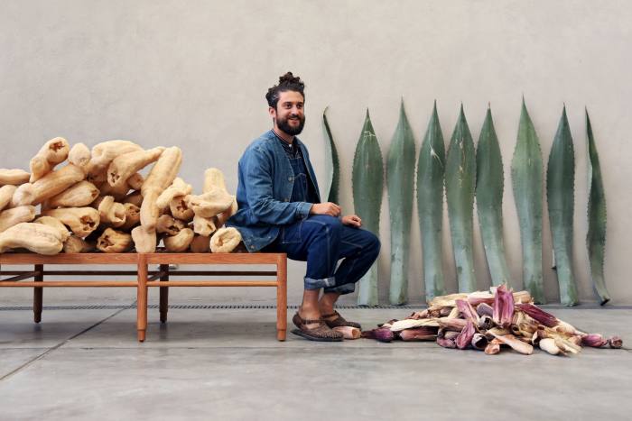 A smiling younger man in denim jacket and jeans sits on a bench near piles of white sponge-like forms, purple husks and tall spiky leaves