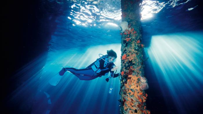 As part of its Perpetual Planet initiative, Rolex supports the marine-conservation work of Dr Sylvia Earle and Mission Blue
