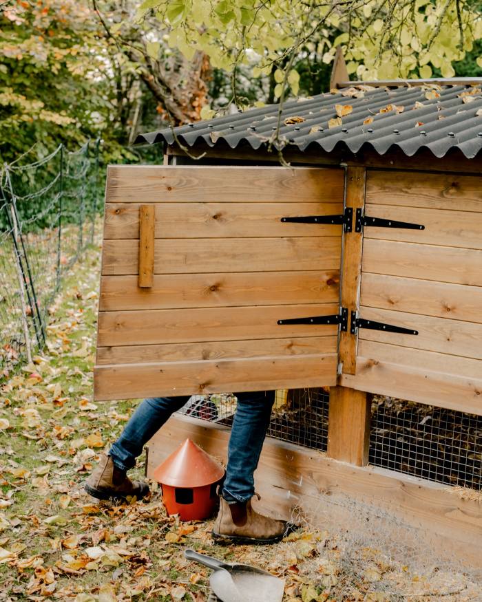 Hen houses need weekly cleaning and careful inspection