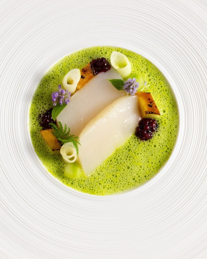 Sliced scallops in a green liquid and surrounded by berries, edible flower and cubed vegetables