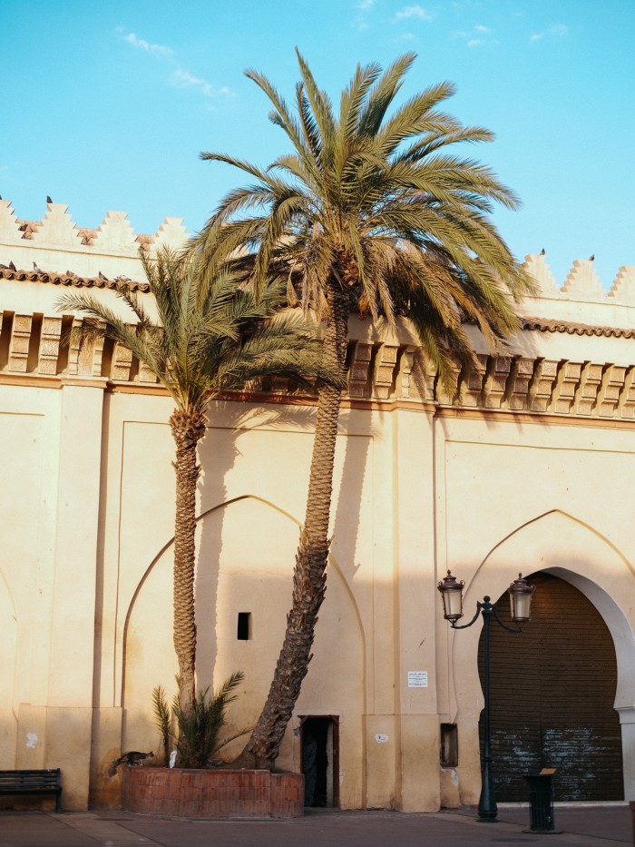 Palm trees by the city wall of Marrakesh at Bab Doukkala