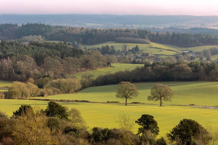 The Surrey Hills as seen from Newlands Corner, east of Guildford