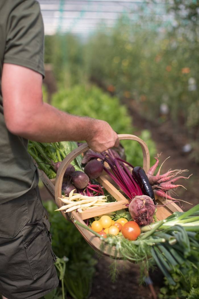 Produce from Heckfield Place, in Hampshire