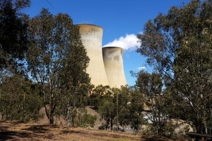 Vapour billows from cooling towers at the Loy Yang power station