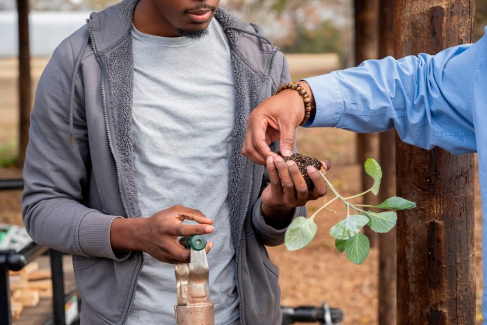 A DFFI student holds a leafy vegetable prior to replanting it