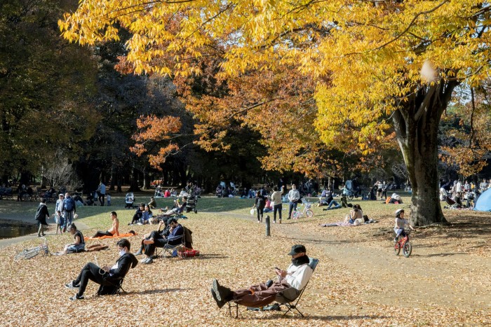 Yoyogi Park: ‘A pastoral playground right amid the world’s biggest city’