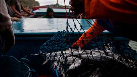 Fisherman doing their activities at Sadeng fisheries port, Gunung Kidul regency, Yogyakarta