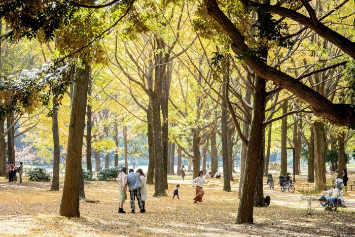 The park is relatively young — its trees were planted in the 1960s on what used to be Tokyo’s Olympic Village