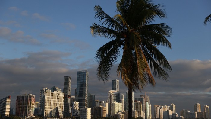 A palm tree frames the Miami skyline
