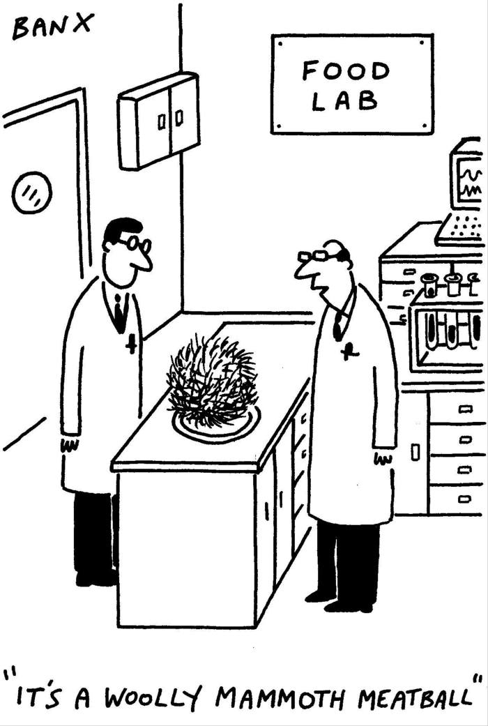 Cartoon showing two scientists looking at a woolly meatball on a plate