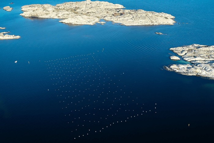 Aerial view of islands off the coast of Sweden, with Nordic SeaFarms’ ropes showing as lines of green dots in the deep blue water