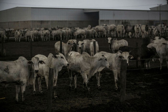 Brazil is the fifth largest methane emitter in the world, owing in part to its beef industry