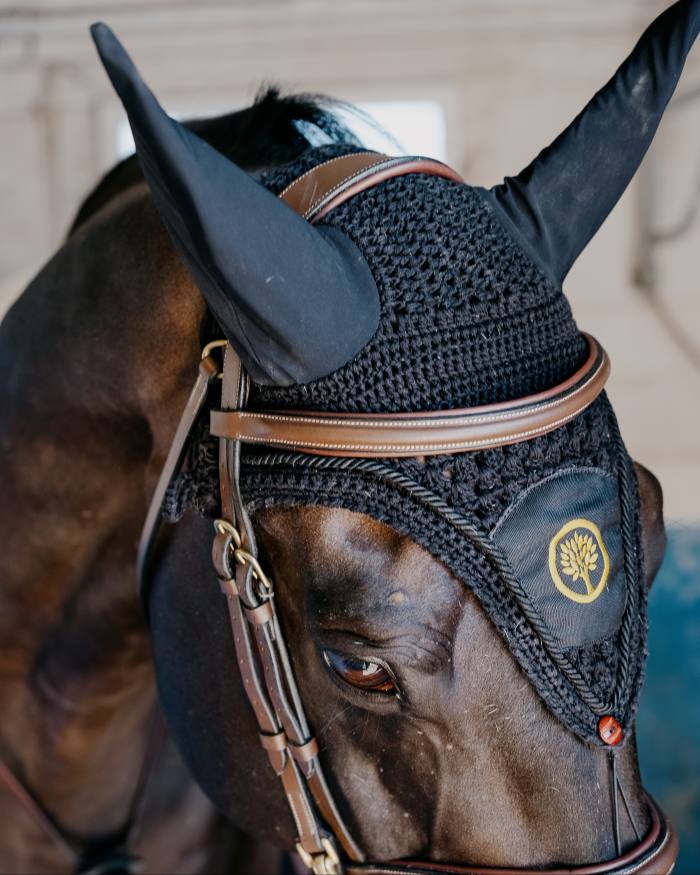 Mathilde Pinault’s horse Dali wears an ear bonnet
