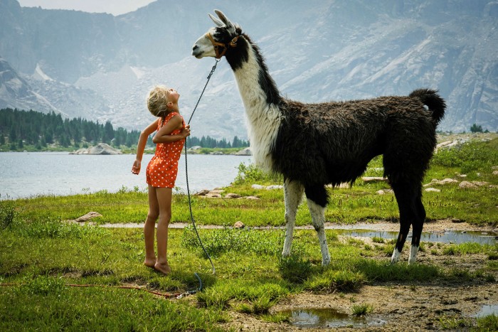 Freya, next to a lake, with one of the lamas