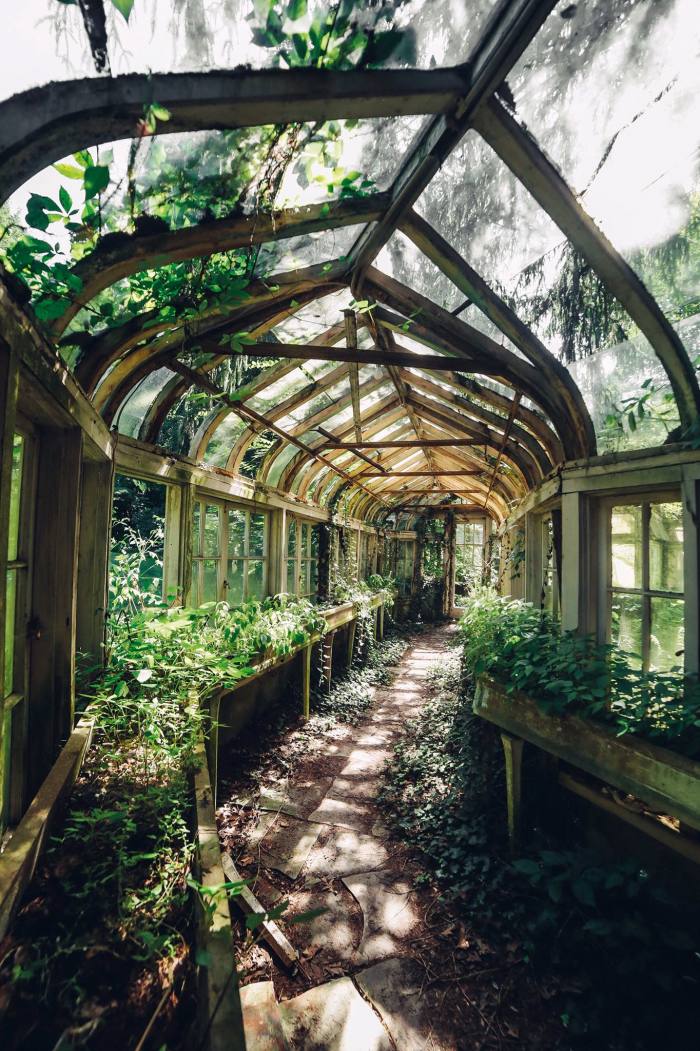 A greenhouse in the garden of a derelict Indiana mansion, as seen on Instagram’s @itsabandoned