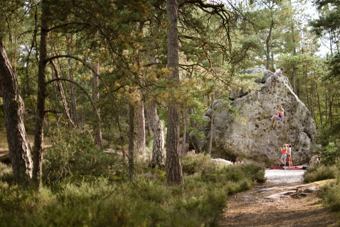 Bouldering at Fontainebleau, an hour outside of Paris