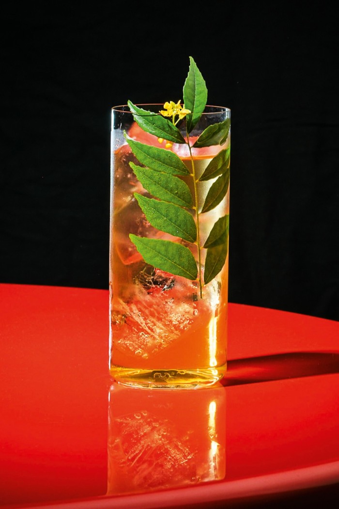 Curry-Leaf Stone Fence cocktail 