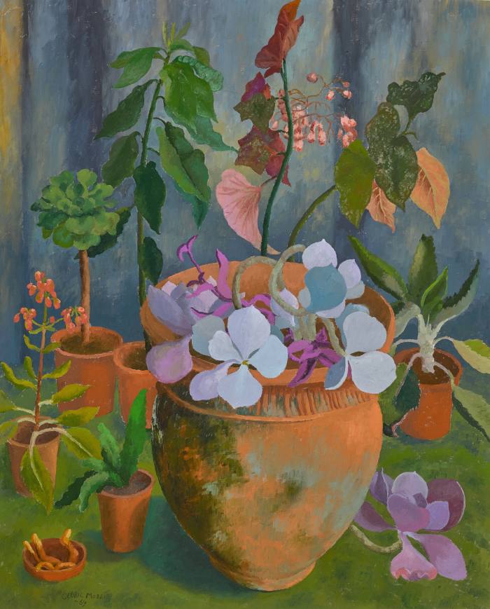 The Schnake Pot, 1969, by Cedric Morris, offers in excess of £300,000