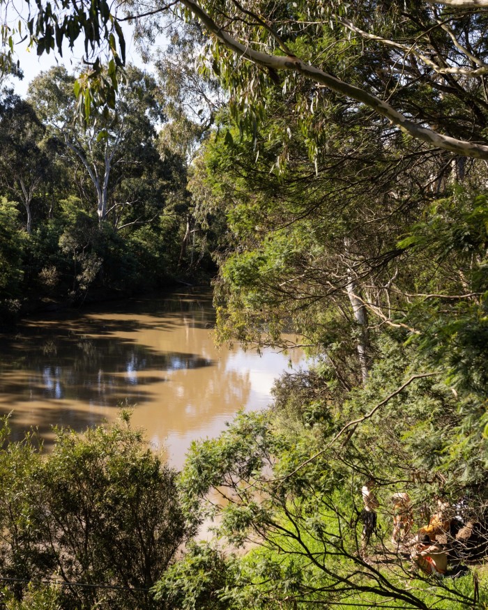 A still brown pond surrounded by greenery in Yarra Bend Park