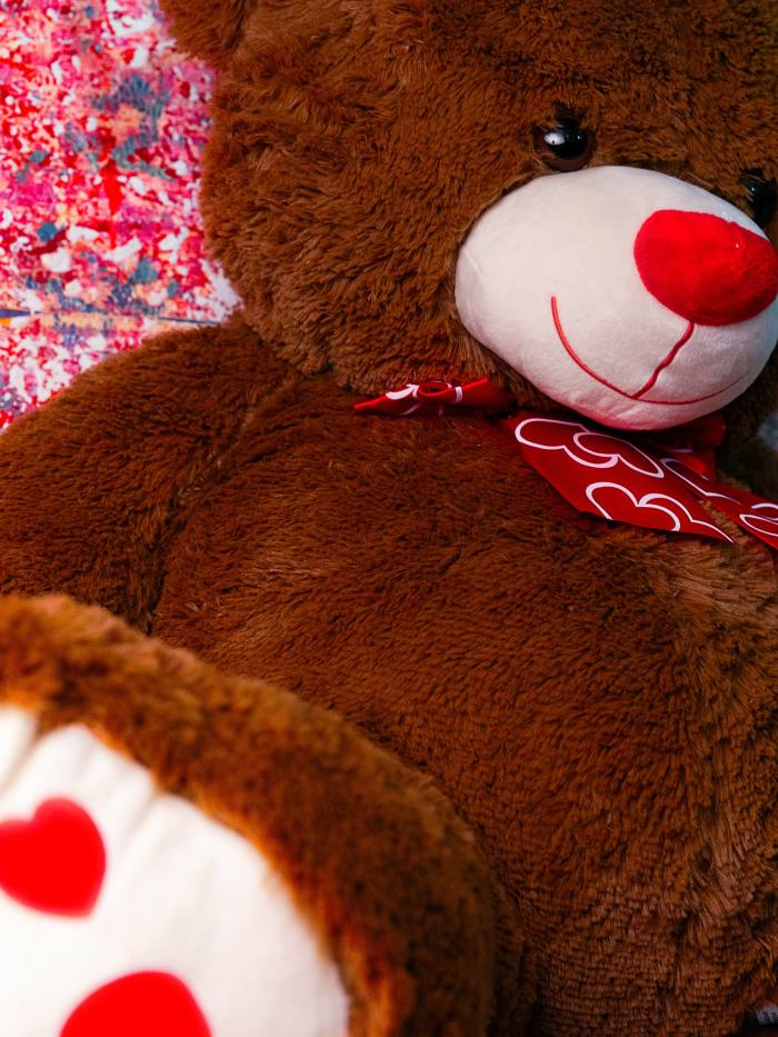“A Valentine’s Day teddy from my partner Mike”