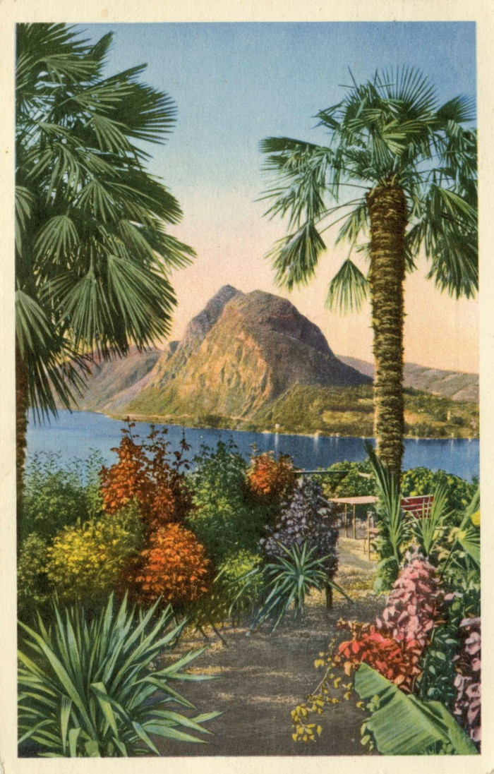 An illustration shows a mountain rising in the distance against a foreground featuring blue water and vibrantly rendered palm trees, bushes and flowers
