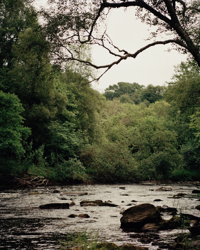 The river Isla, where the family swim and to which beavers have recently returned