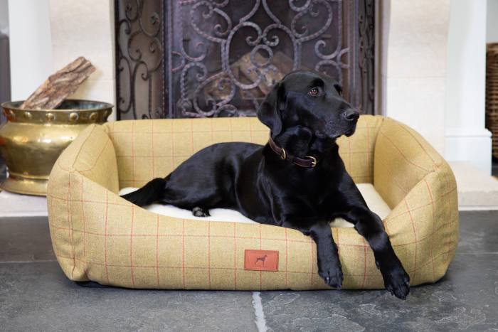 The Red Dog Company tweed bed, from £265