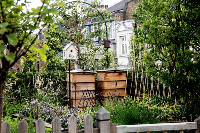 Beehives in the rooftop garden of London’s Ham Yard Hotel