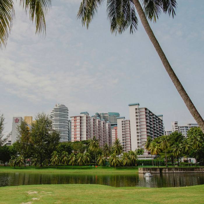 Kallang Riverside Park: by this part of the route, you are surrounded by greenery