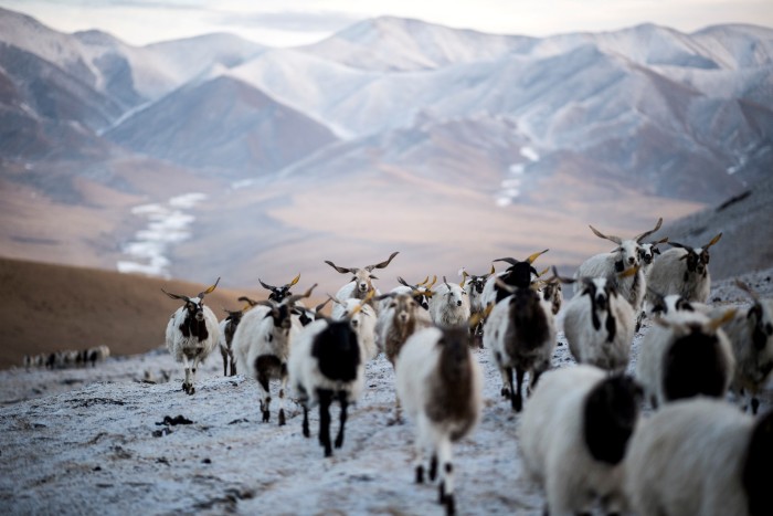 The Qinghai-Tibet Plateau near Labrang