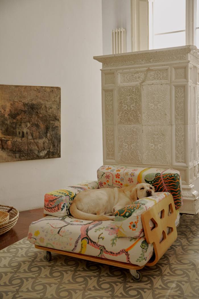 Tagliabue’s Labrador Hodor on his favourite chair designed by Miralles in the 1990s