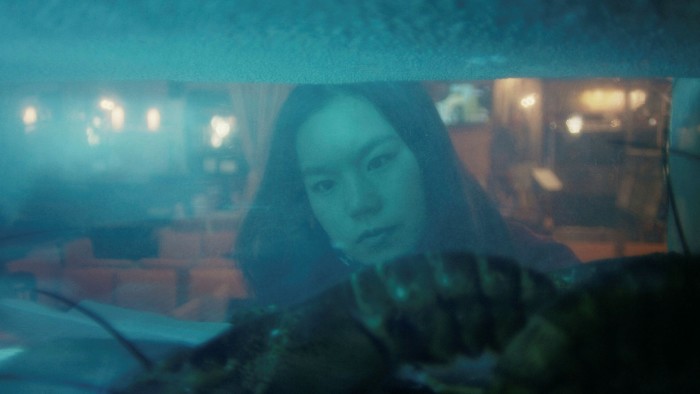 A woman’s face seen through a lobster tank