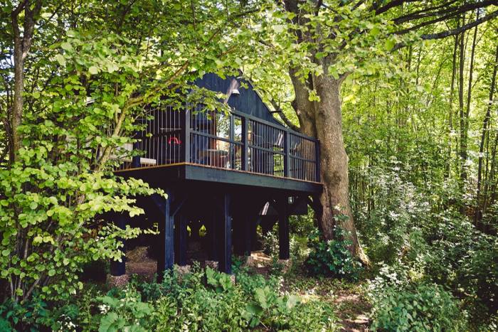 One of the treehouses run by Wild Escapes beside Black Chalk  winery in Hampshire