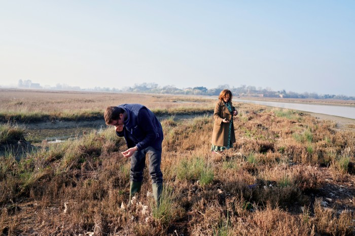 Brandolini d’Adda and da Mosto inspect the marshes near Sant’Erasmo Island