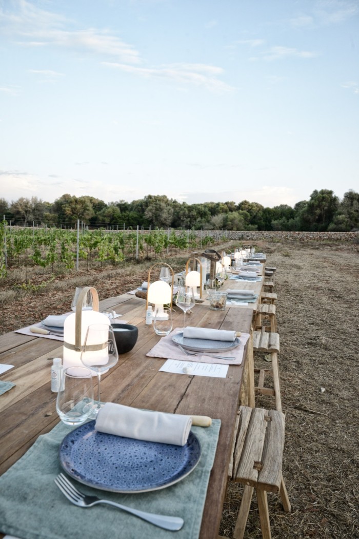Dinner in the vineyards at Torre Vella