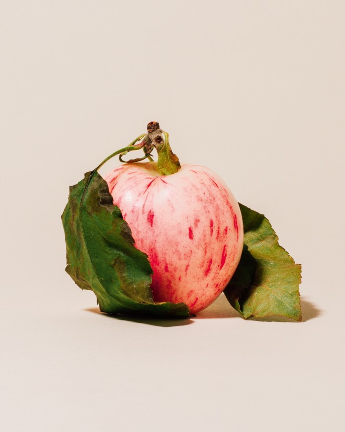 The Pale Gala apple from New York