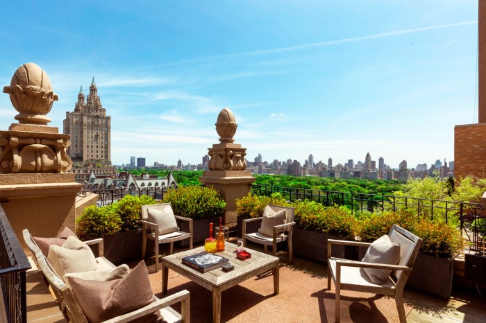 outdoor terrace with views to Central Park