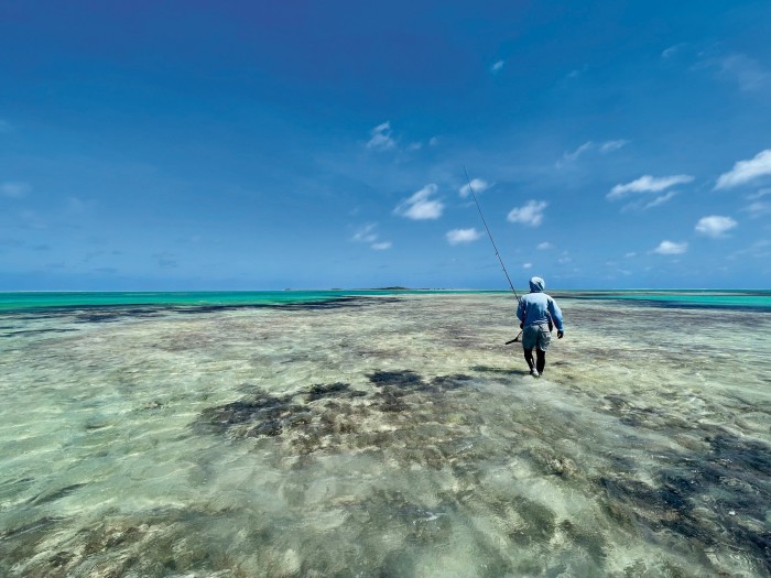 The author’s guide, Yousuf, wades along a coral finger in St François lagoon, scanning the horizon for a feeding stingray