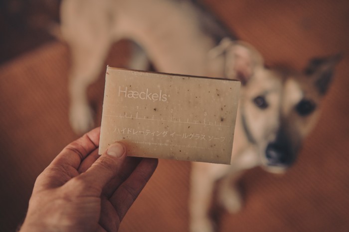 The first Haeckels product: the Large Exfoliating Vegan Seaweed Block 