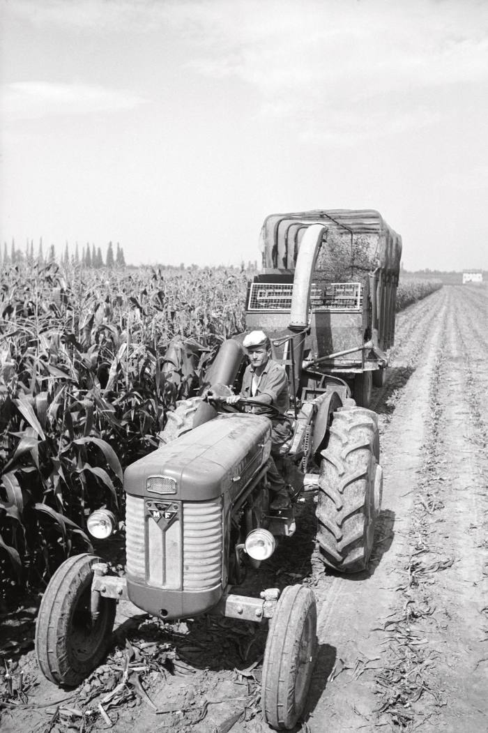 A Massey Ferguson being driven in Italy