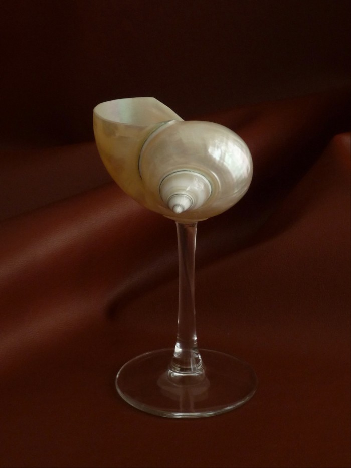 Centá curly shell glass with glass stem, £221