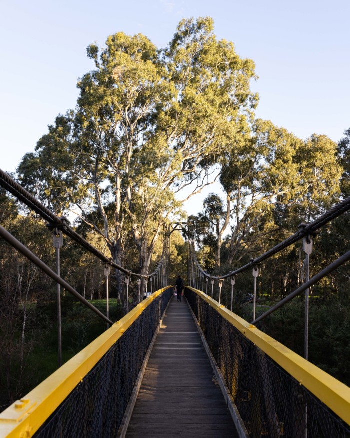 The wooden Ruffey Trail Suspension Bridge, with metallic yellow handrails and trees on the far side