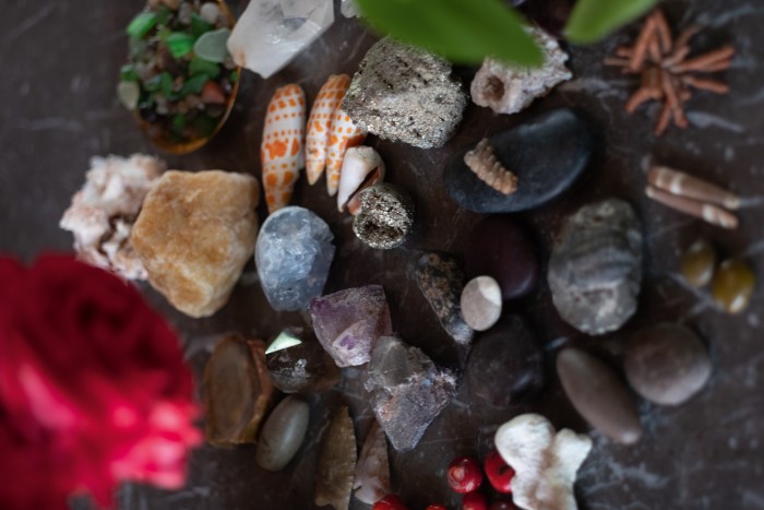 Some of Lambert’s collection of seashells