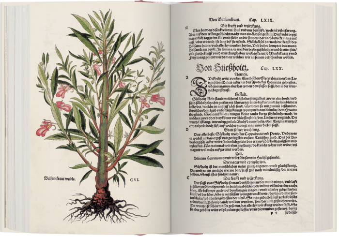 Leonhart Fuchs’ 1543 catalogue The New Herbal has been faithfully reproduced in facsimile form