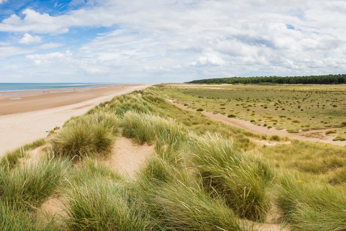 The sand paths and pine forests of Holkham Beach in Norfolk
