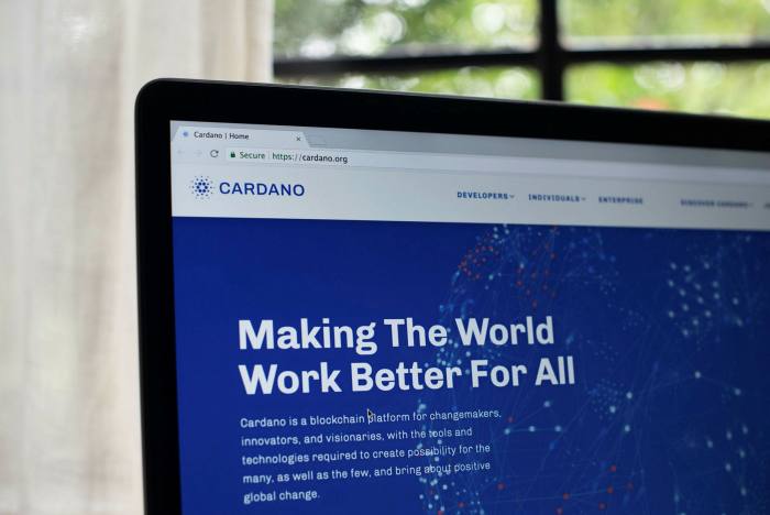 Cardano is among the rivals to the ethereum platform, currently used to run 60-70 per cent of blockchains 