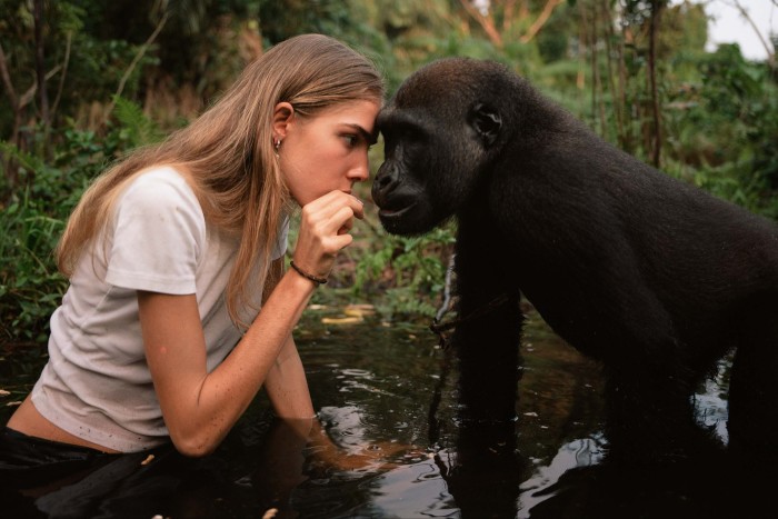 Freya with Boumassa the gorilla in the Foundation’s Congo reserve in 2021